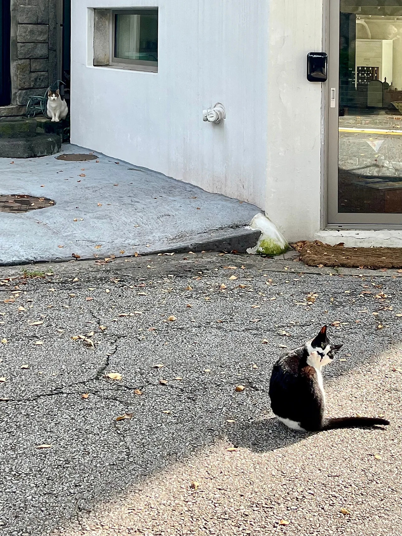 IMG%EF%BC%BF2267.jpg?type=w1600