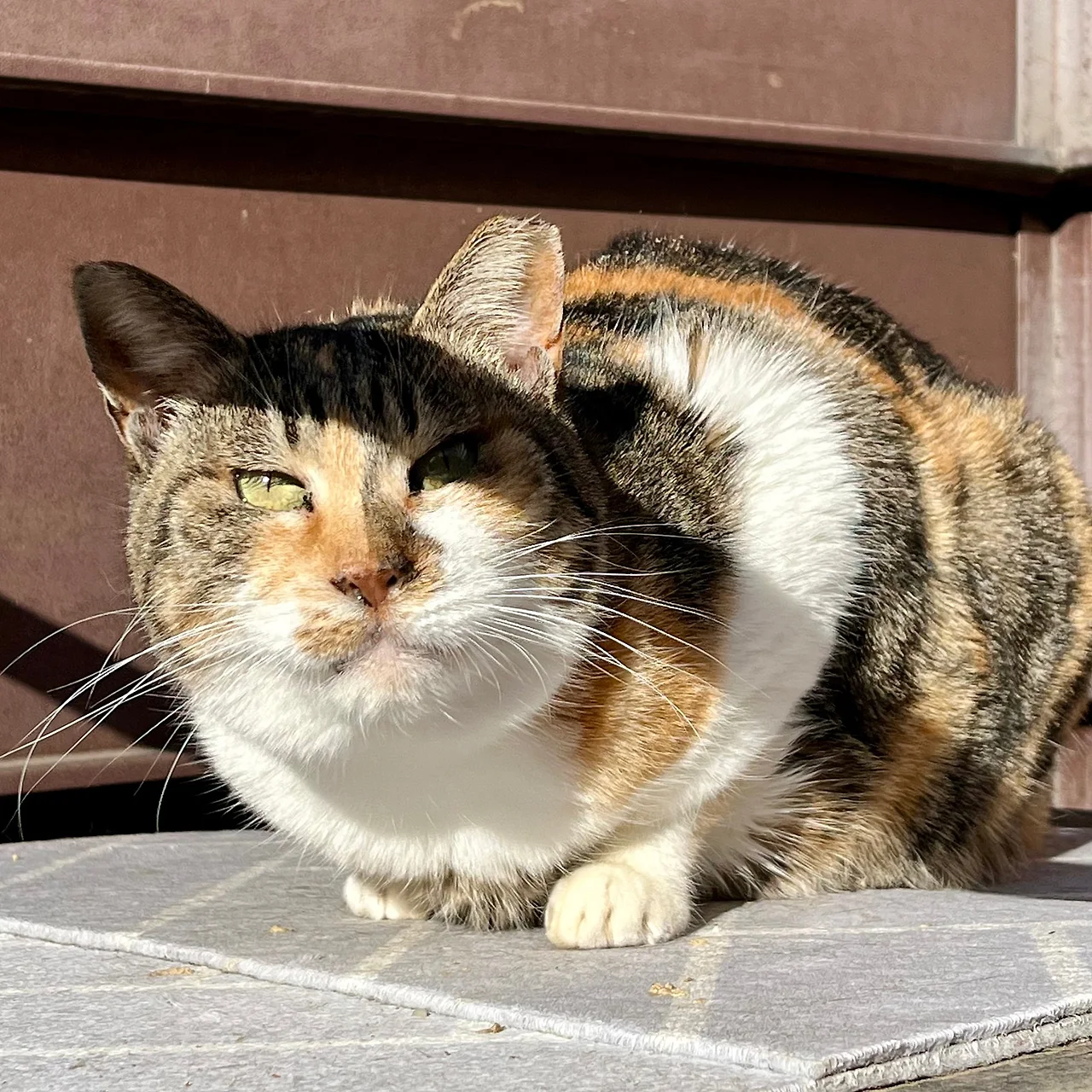 IMG%EF%BC%BF0001.jpg?type=w1600