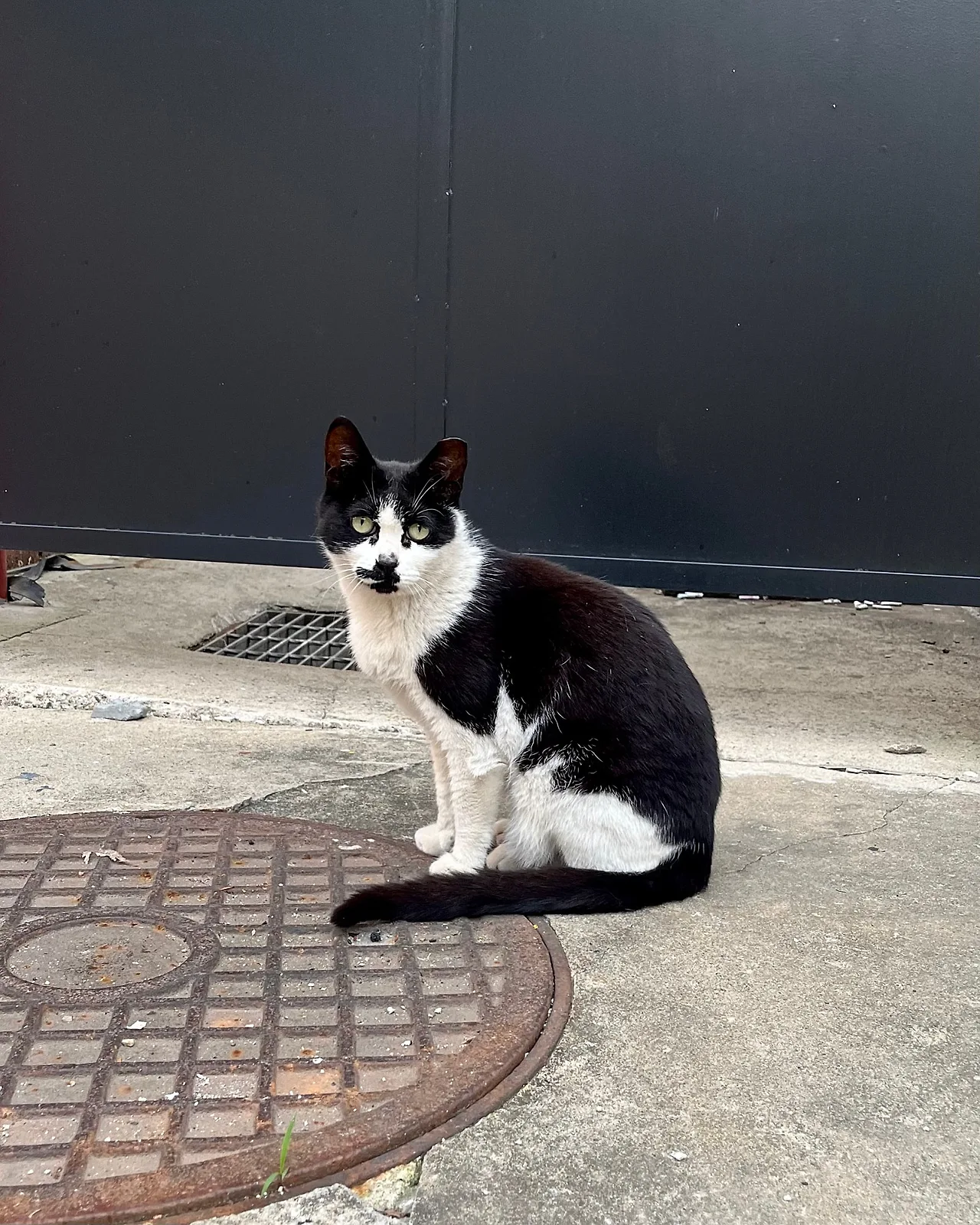 IMG%EF%BC%BF4593.jpg?type=w1600