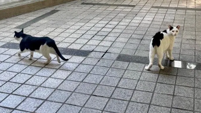 output%EF%BC%BF236211388.jpg?type=w1600