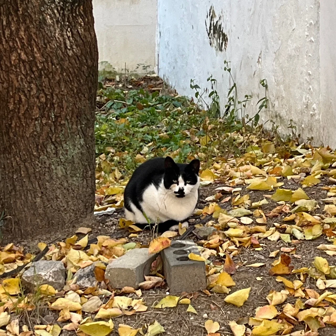 output%EF%BC%BF4077651396.jpg?type=w1600