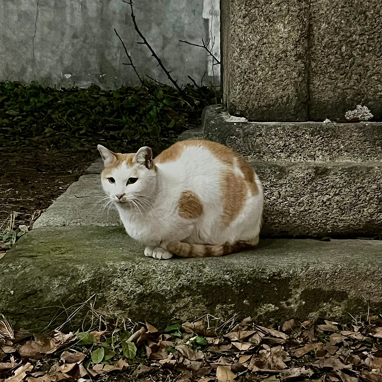 IMG%EF%BC%BF9639.jpg?type=w1600