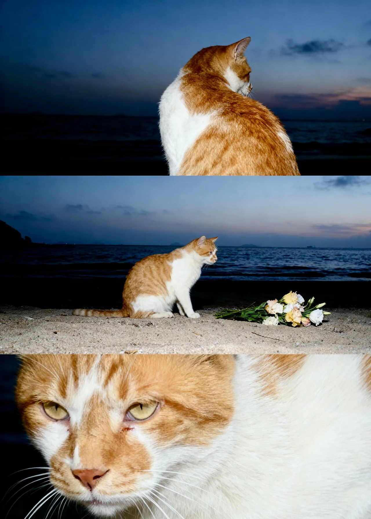 IMG%EF%BC%BF4747.jpg?type=w1600