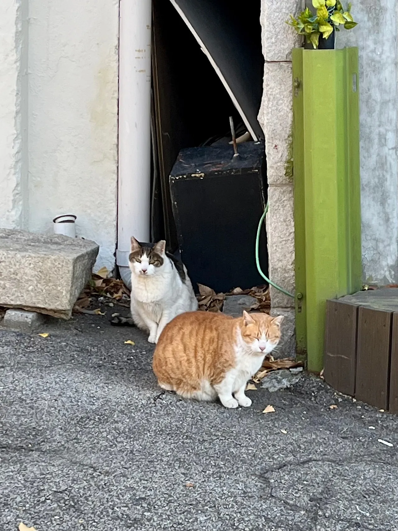 IMG%EF%BC%BF8773.jpg?type=w1600