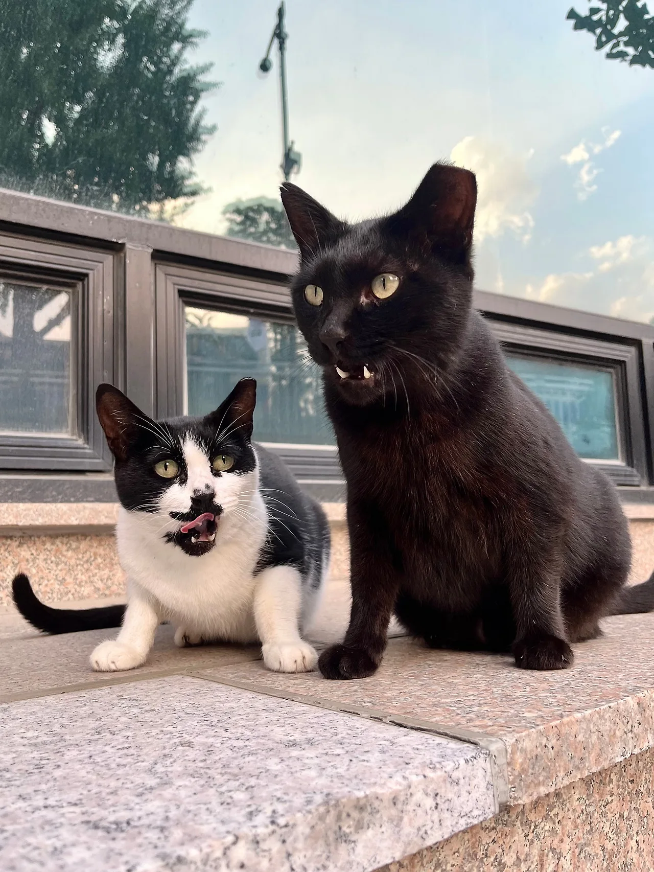 IMG%EF%BC%BF9979.jpg?type=w1600