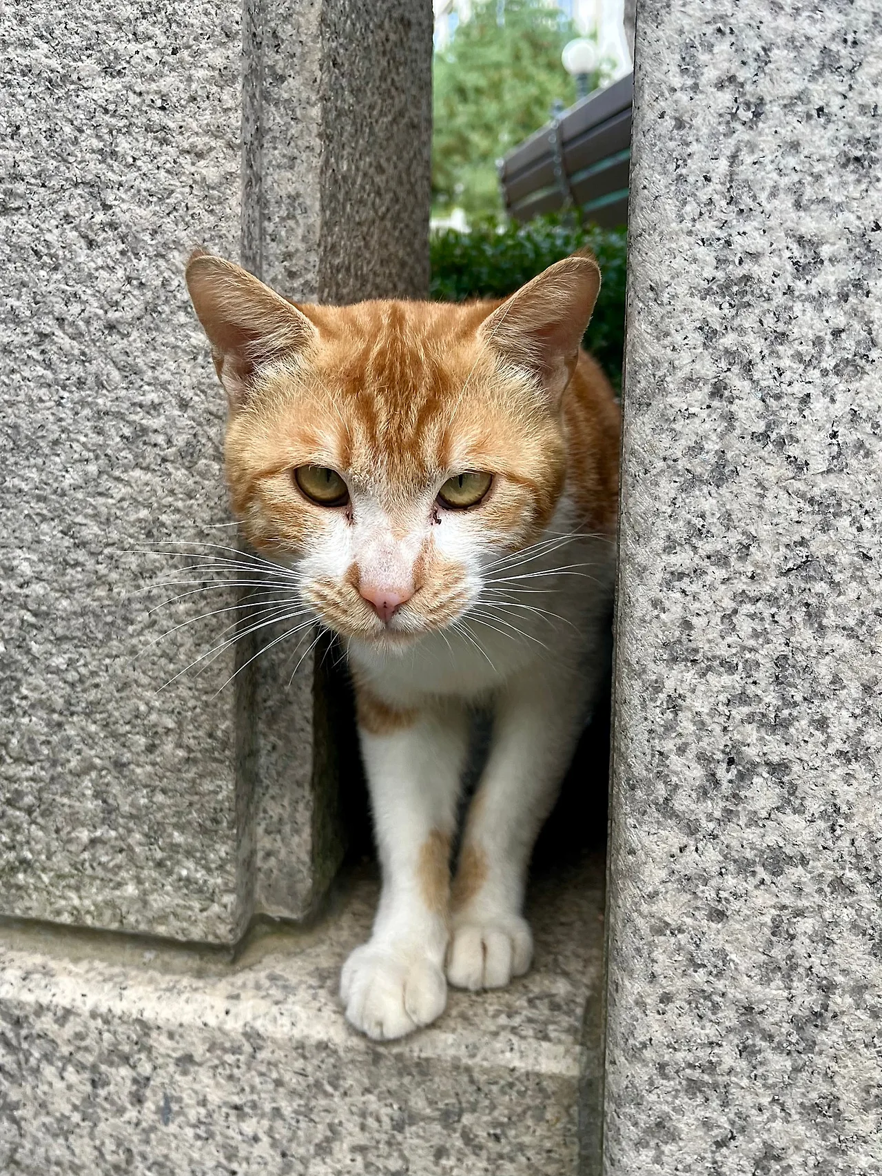 IMG%EF%BC%BF3781.jpg?type=w1600