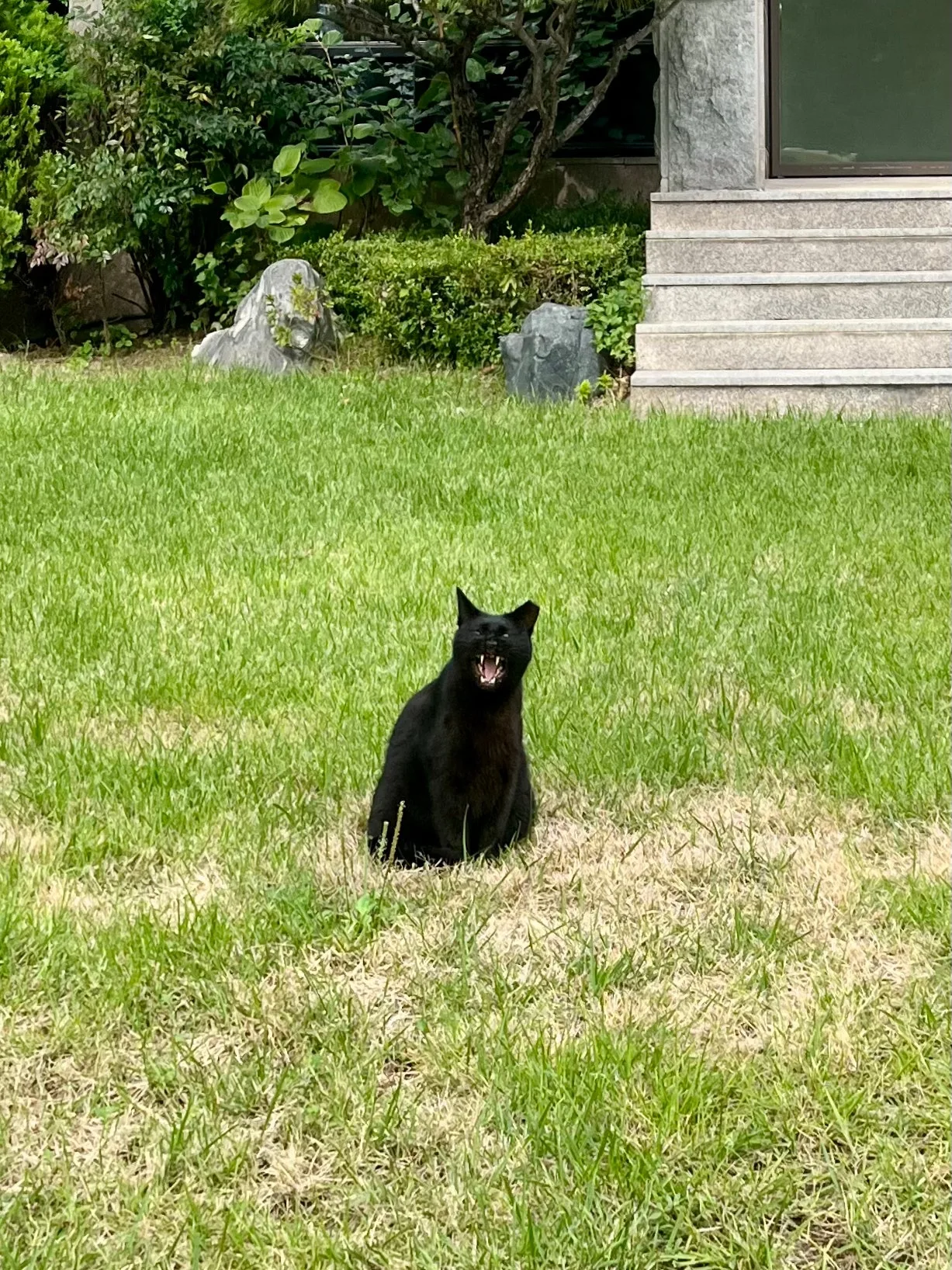 IMG%EF%BC%BF2796.jpg?type=w1600