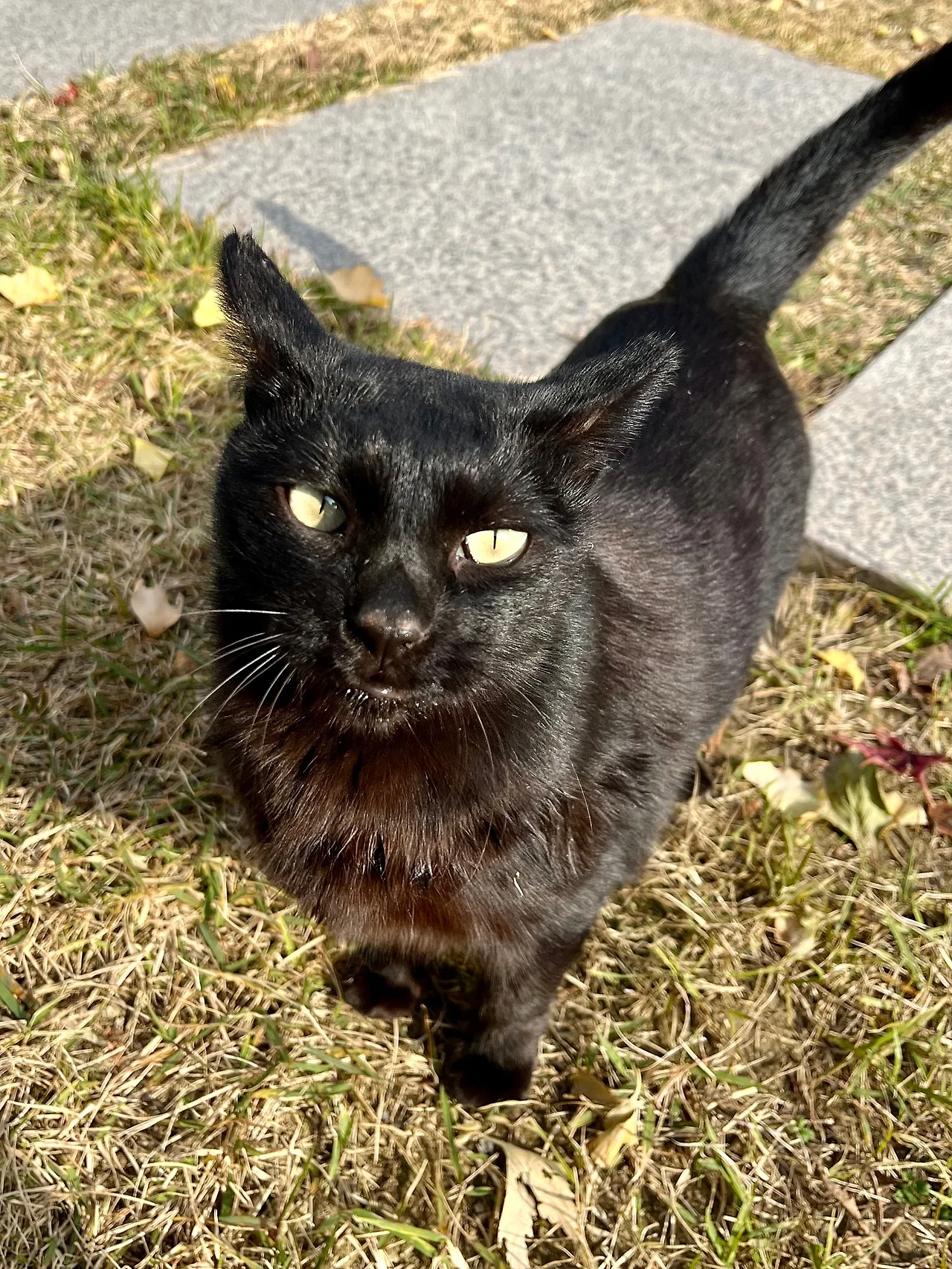 IMG%EF%BC%BF5057.jpg?type=w1600