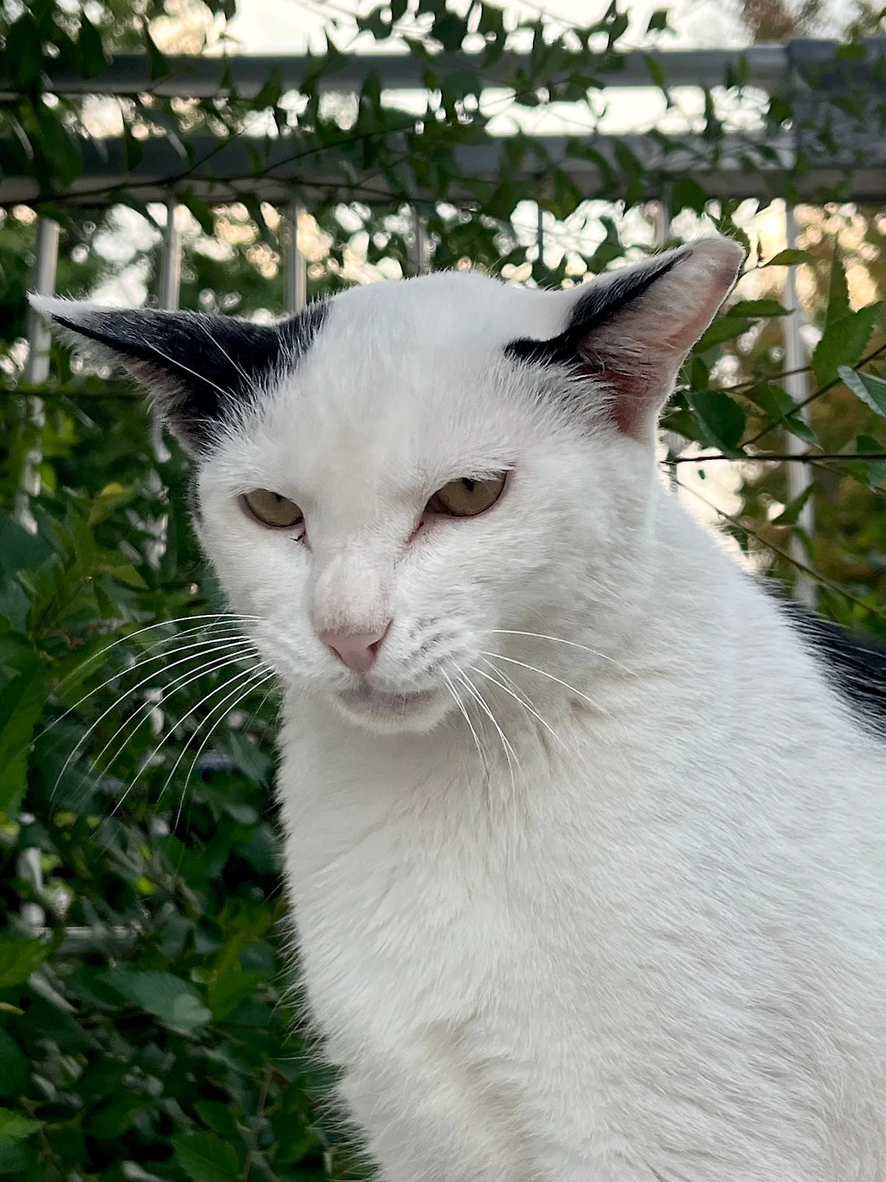 IMG%EF%BC%BF9953.jpg?type=w1600