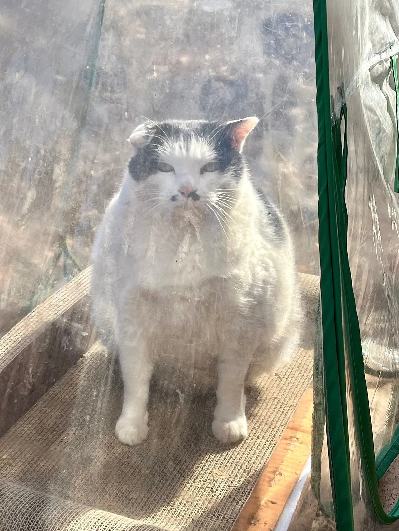 IMG%EF%BC%BF0974.jpg?type=w1600