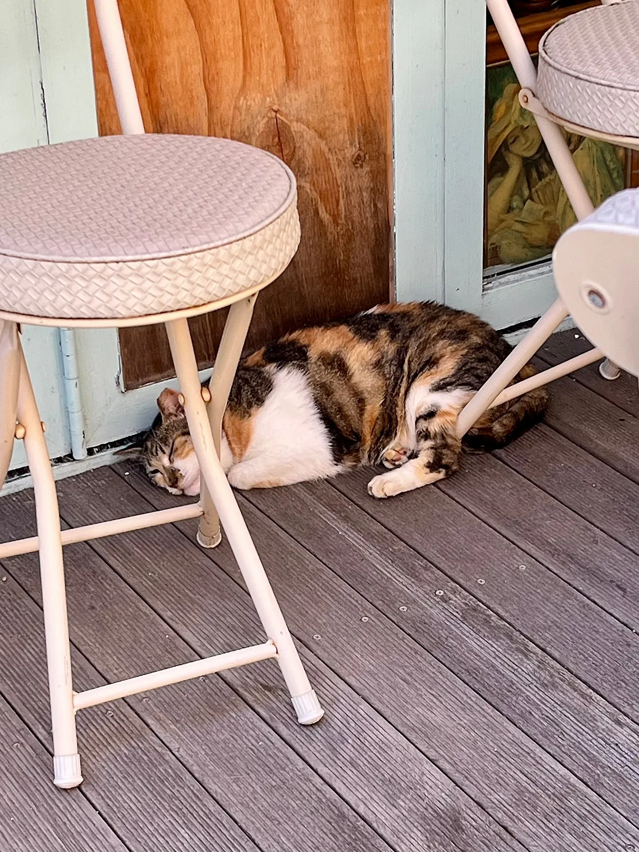 IMG%EF%BC%BF1204.jpg?type=w1600