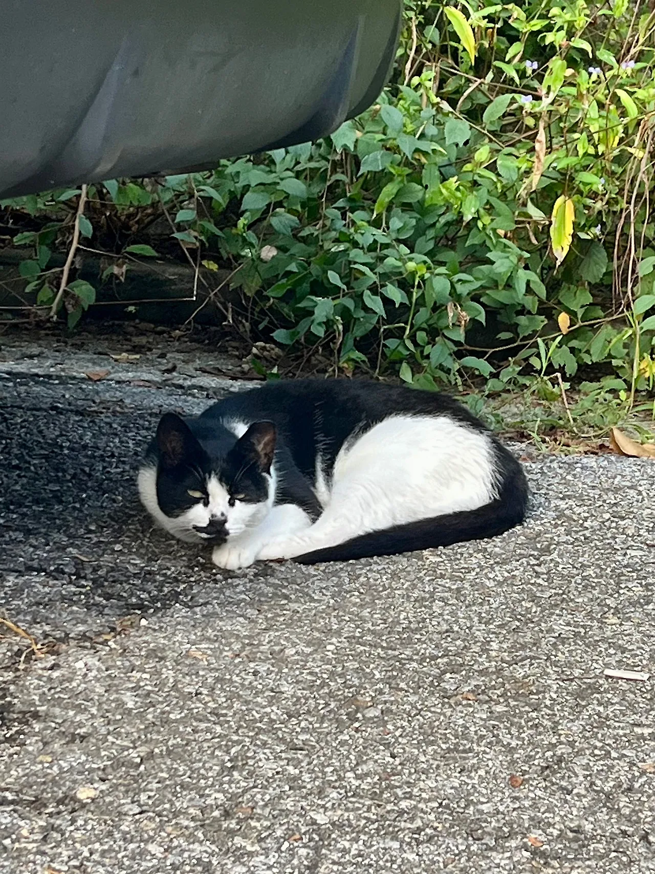 IMG%EF%BC%BF0845.jpg?type=w1600