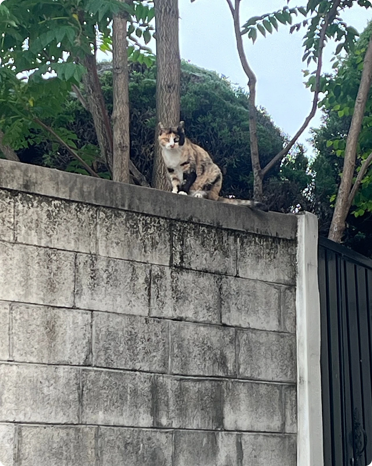 IMG_4520.jpg?type=w1600