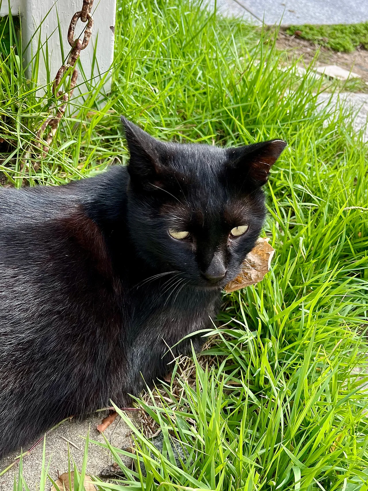 IMG%EF%BC%BF1451.jpg?type=w1600