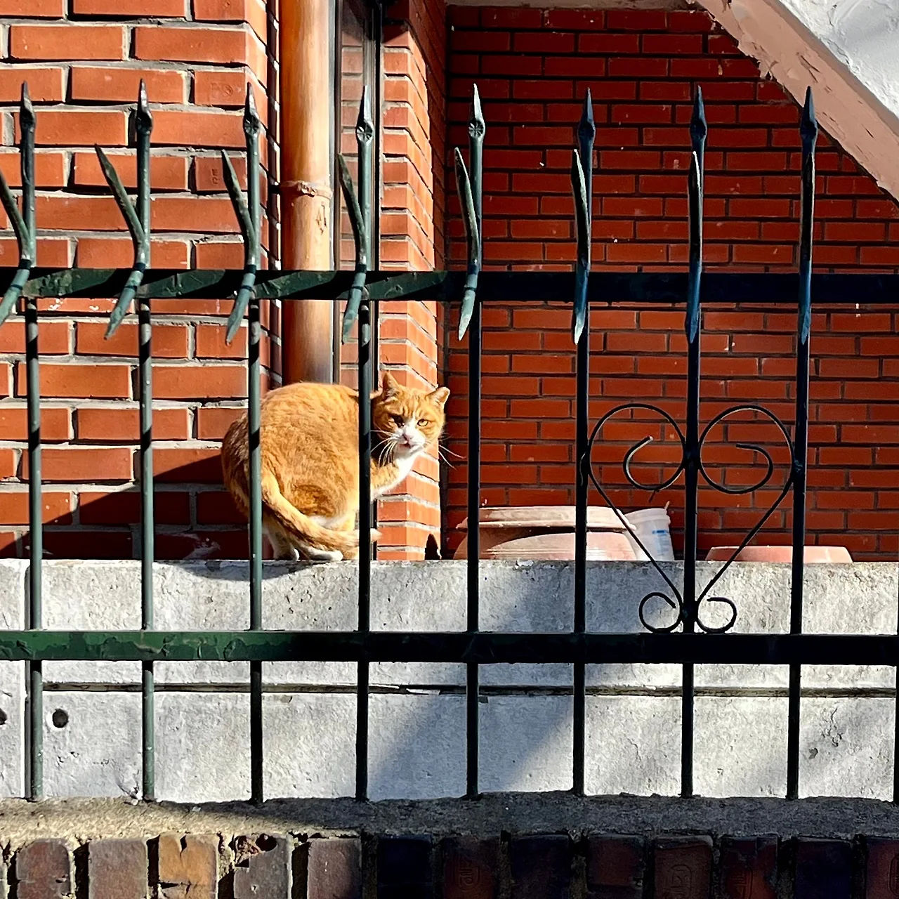 SE-17CF3098-DC3A-4DCC-B349-7910BE3099A4.jpg?type=w1600