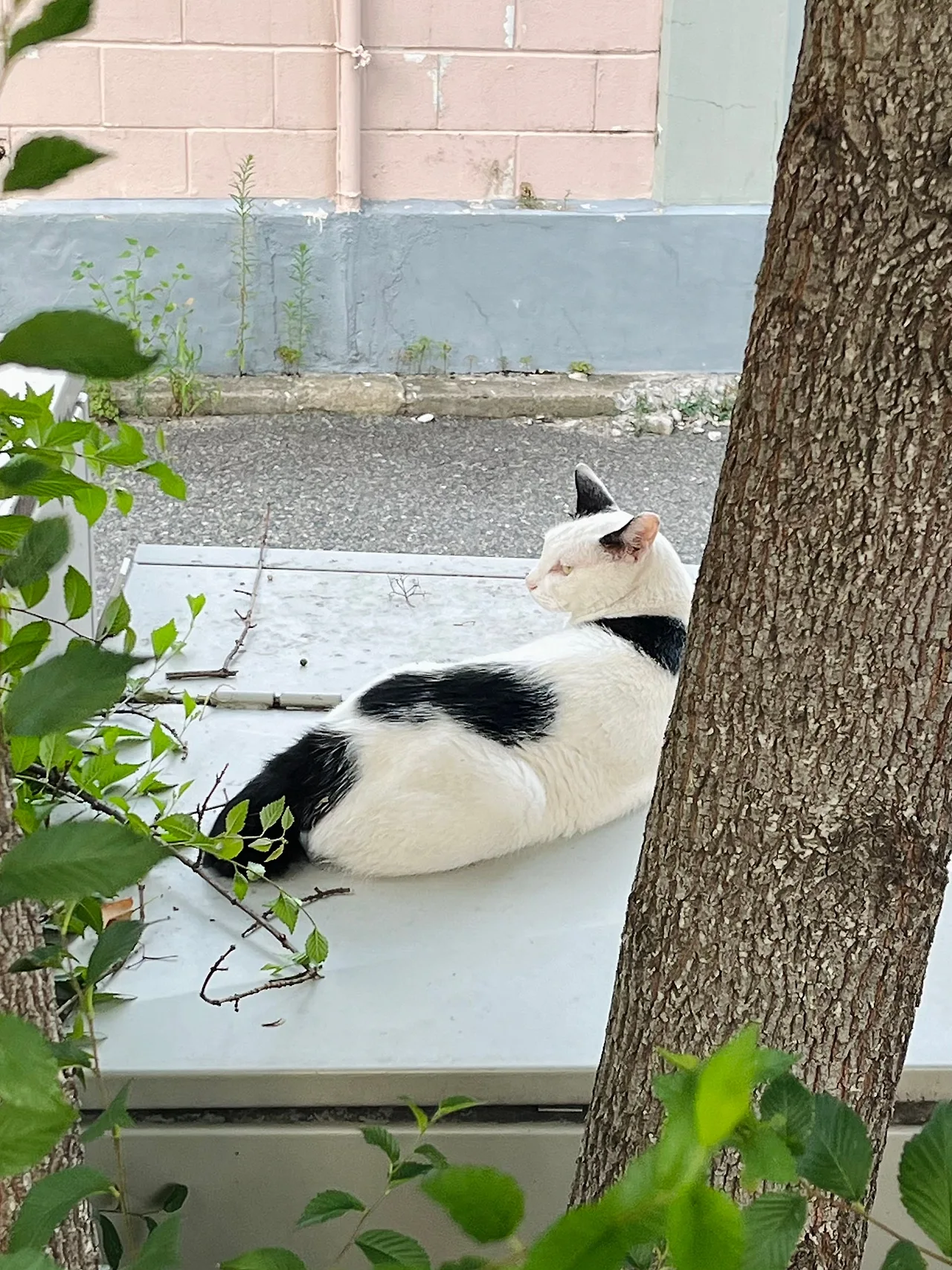 IMG%EF%BC%BF9995.jpg?type=w1600