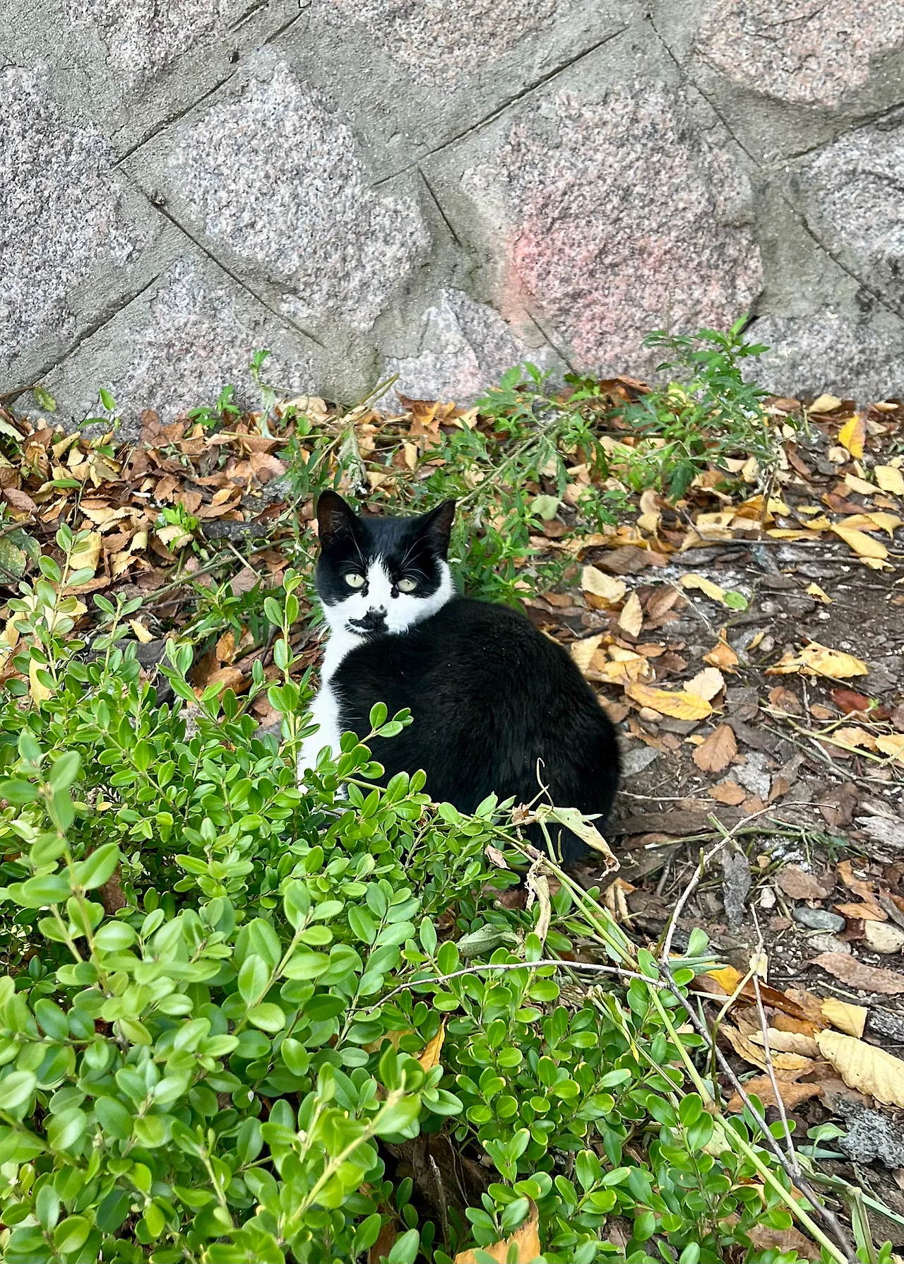 IMG%EF%BC%BF3811.jpg?type=w1600