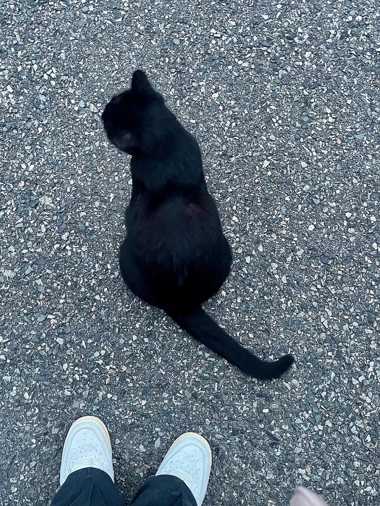 IMG%EF%BC%BF1081.jpg?type=w1600