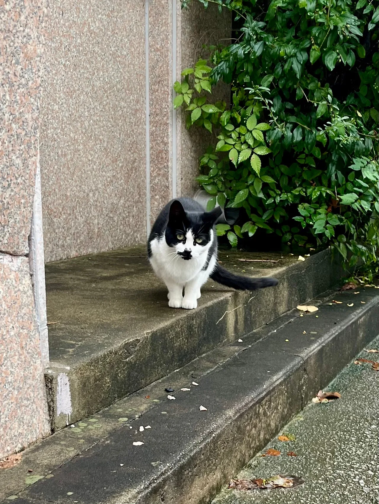 IMG%EF%BC%BF3128.jpg?type=w1600