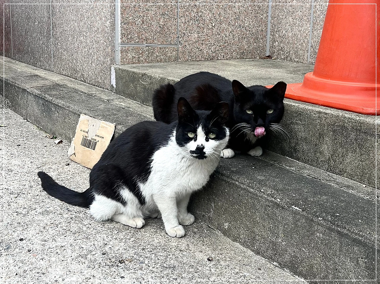 IMG_3555.jpg?type=w1600