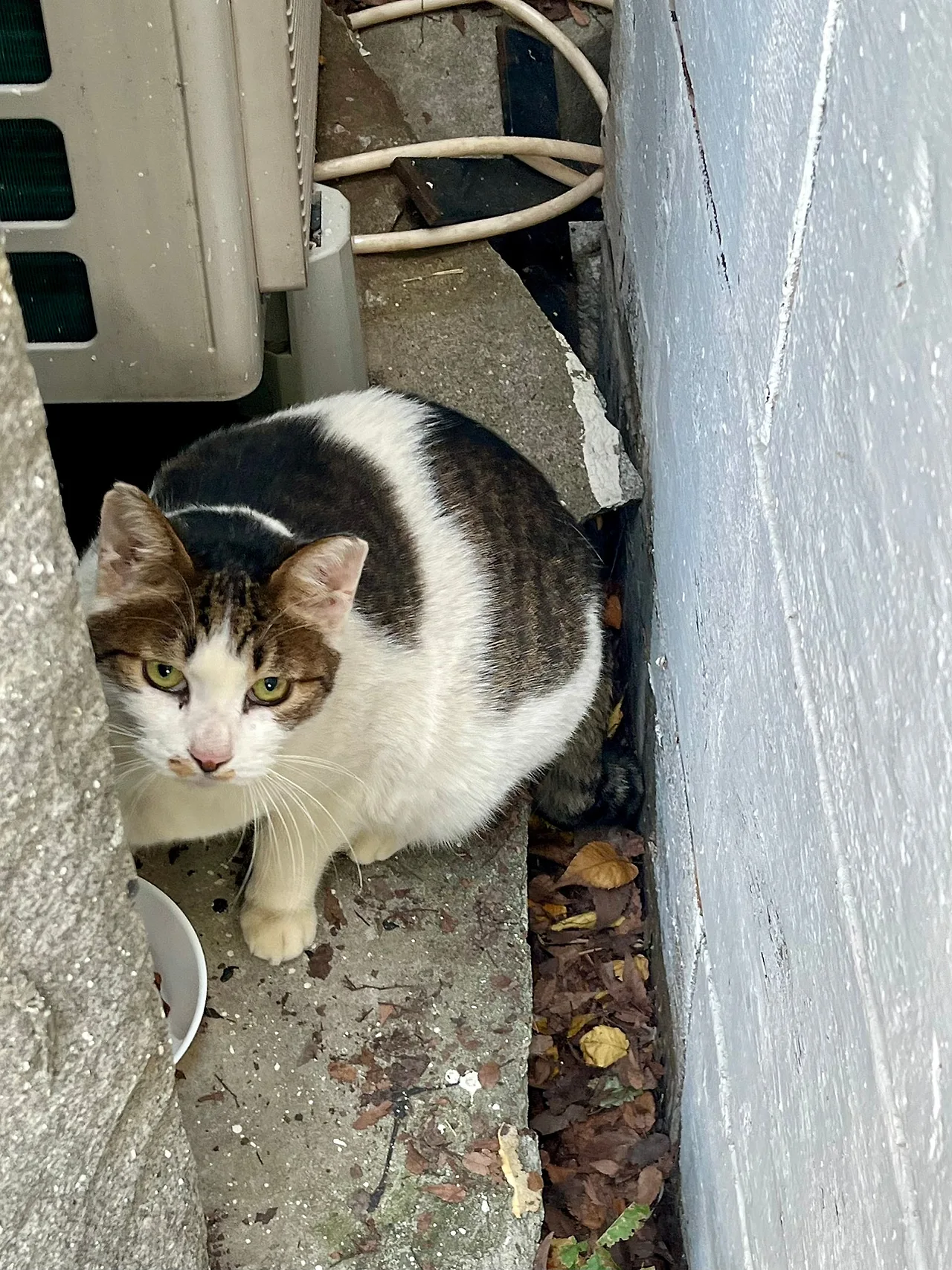 IMG%EF%BC%BF4216.jpg?type=w1600