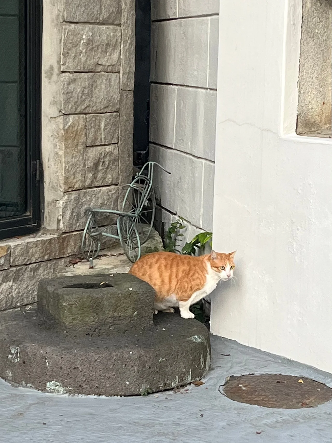 IMG%EF%BC%BF0559.jpg?type=w1600