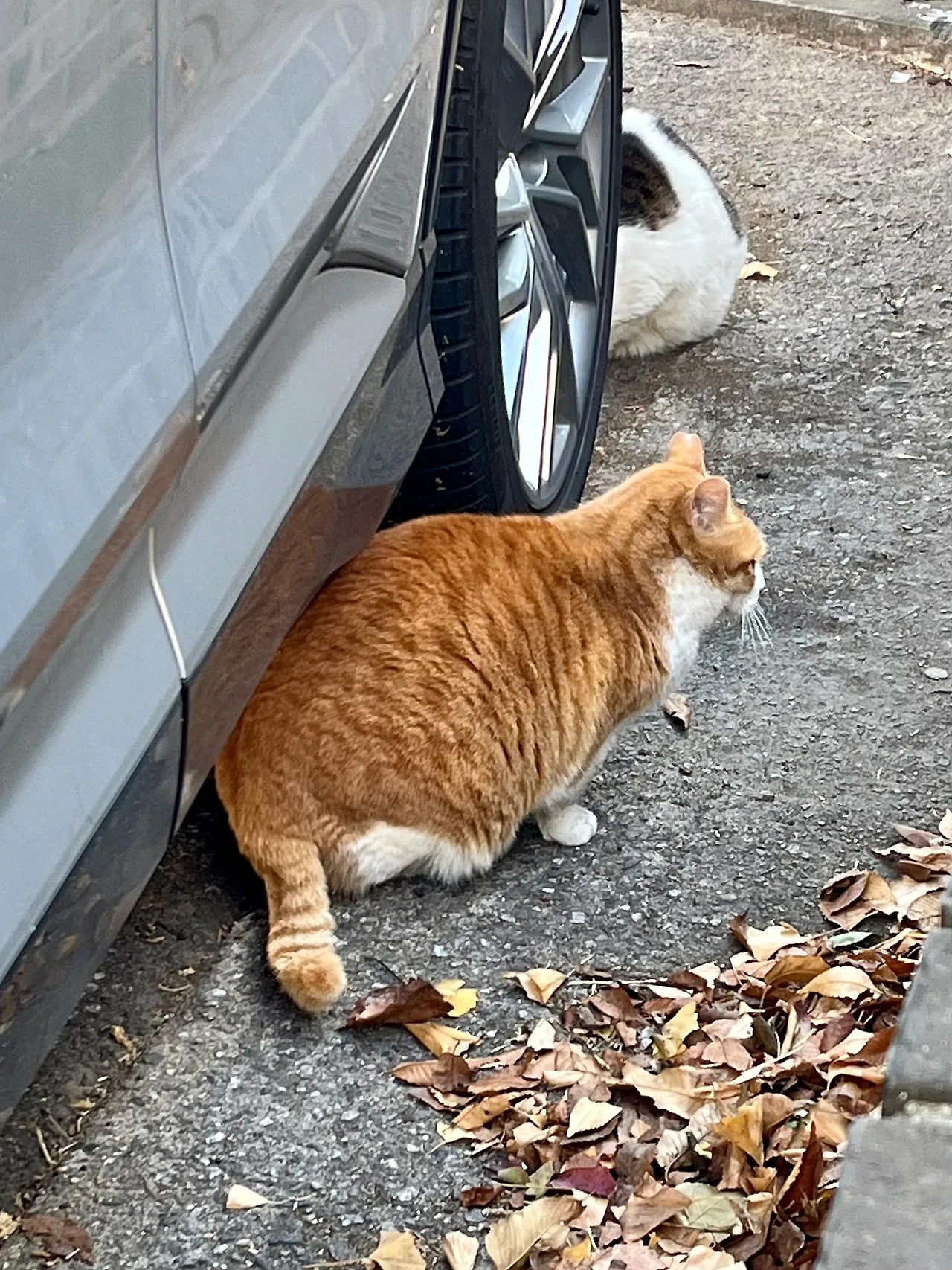 IMG%EF%BC%BF0049.jpg?type=w1600