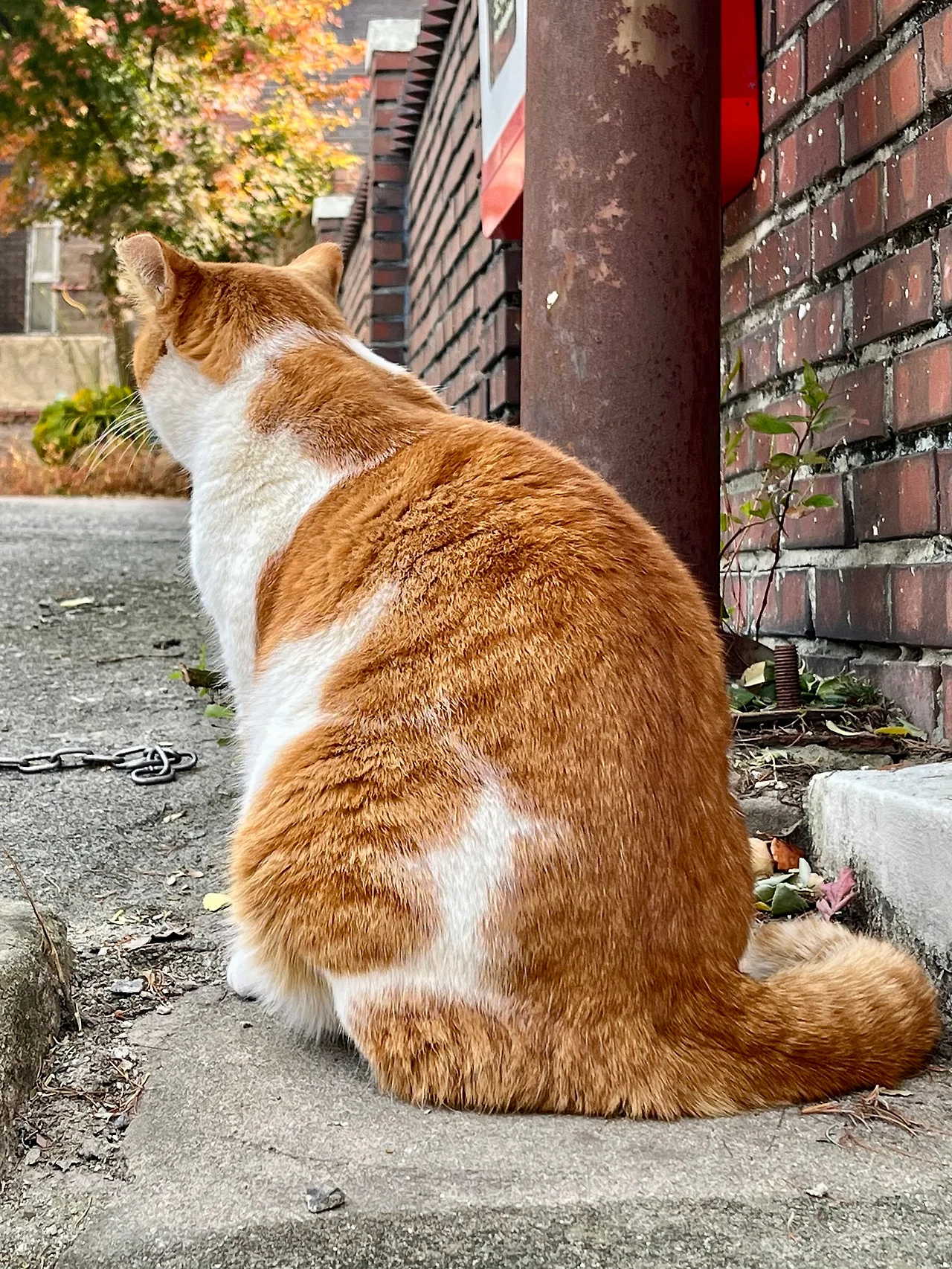 IMG%EF%BC%BF5045.jpg?type=w1600