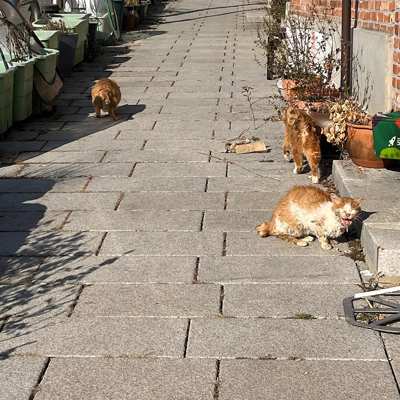 IMG%EF%BC%BF9543.jpg?type=w1600