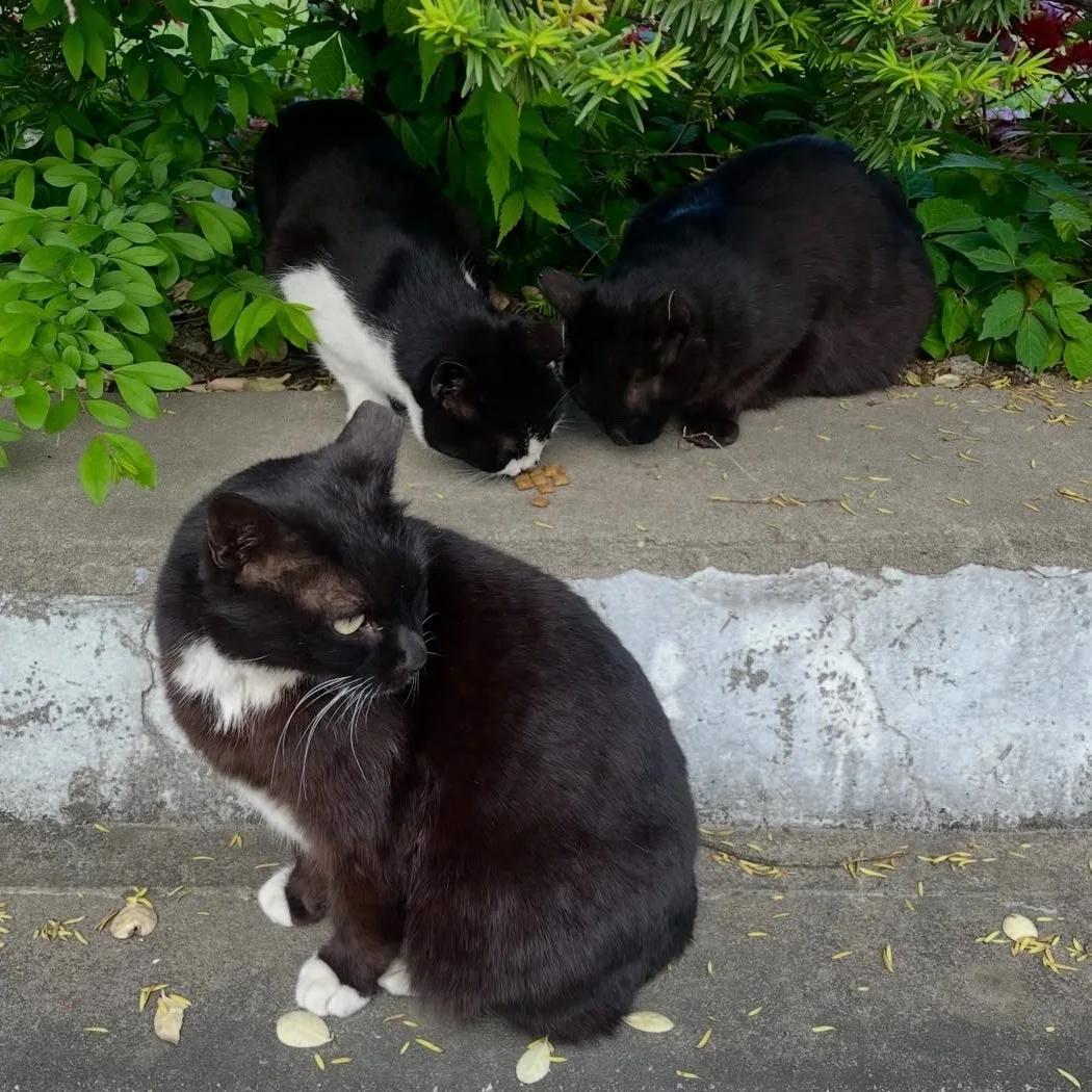 SE-4FE2A1C3-268E-497F-9031-24D3885086B2.jpg?type=w1600