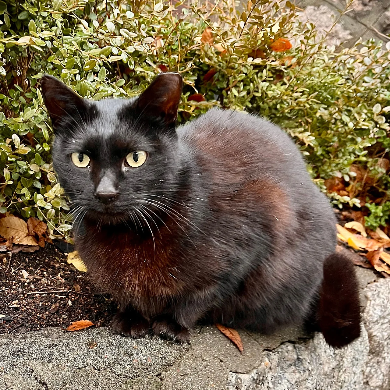 IMG%EF%BC%BF9351.jpg?type=w1600