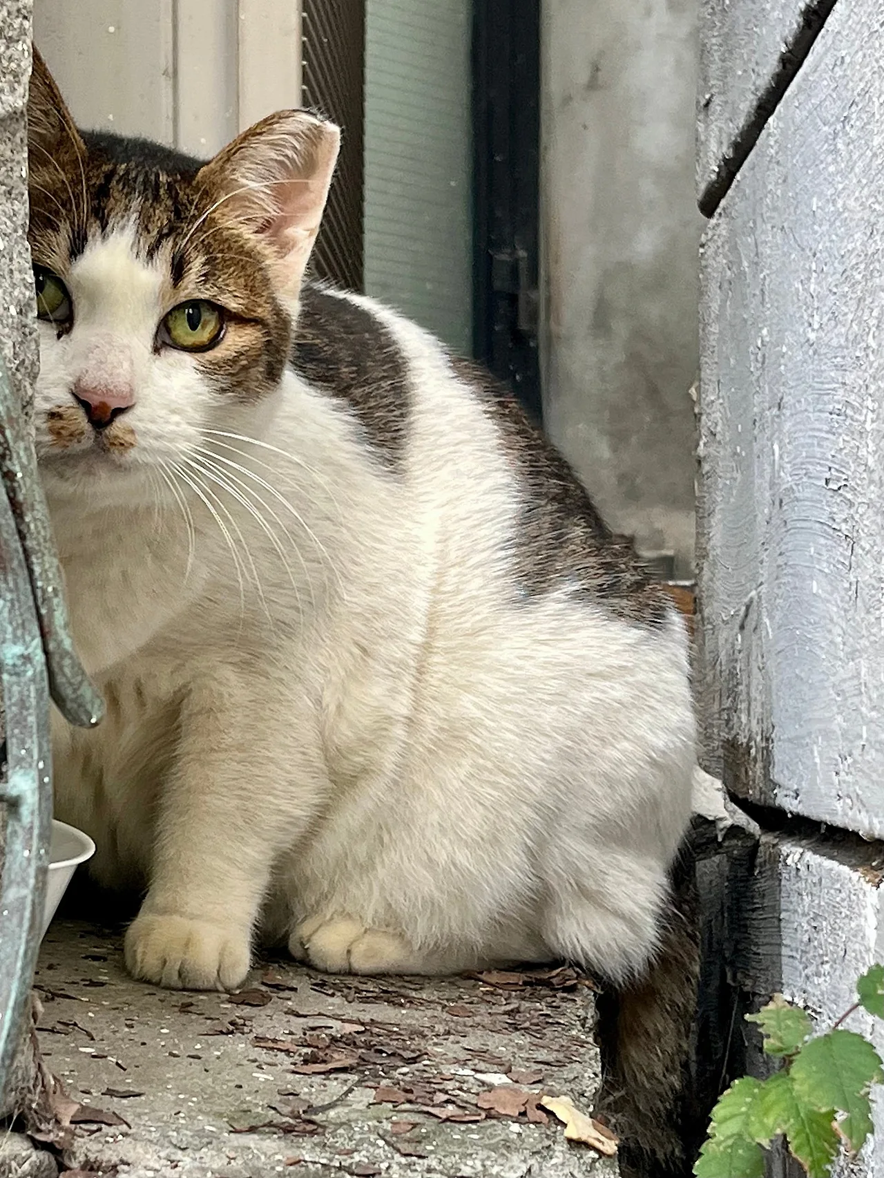 IMG%EF%BC%BF4229.jpg?type=w1600