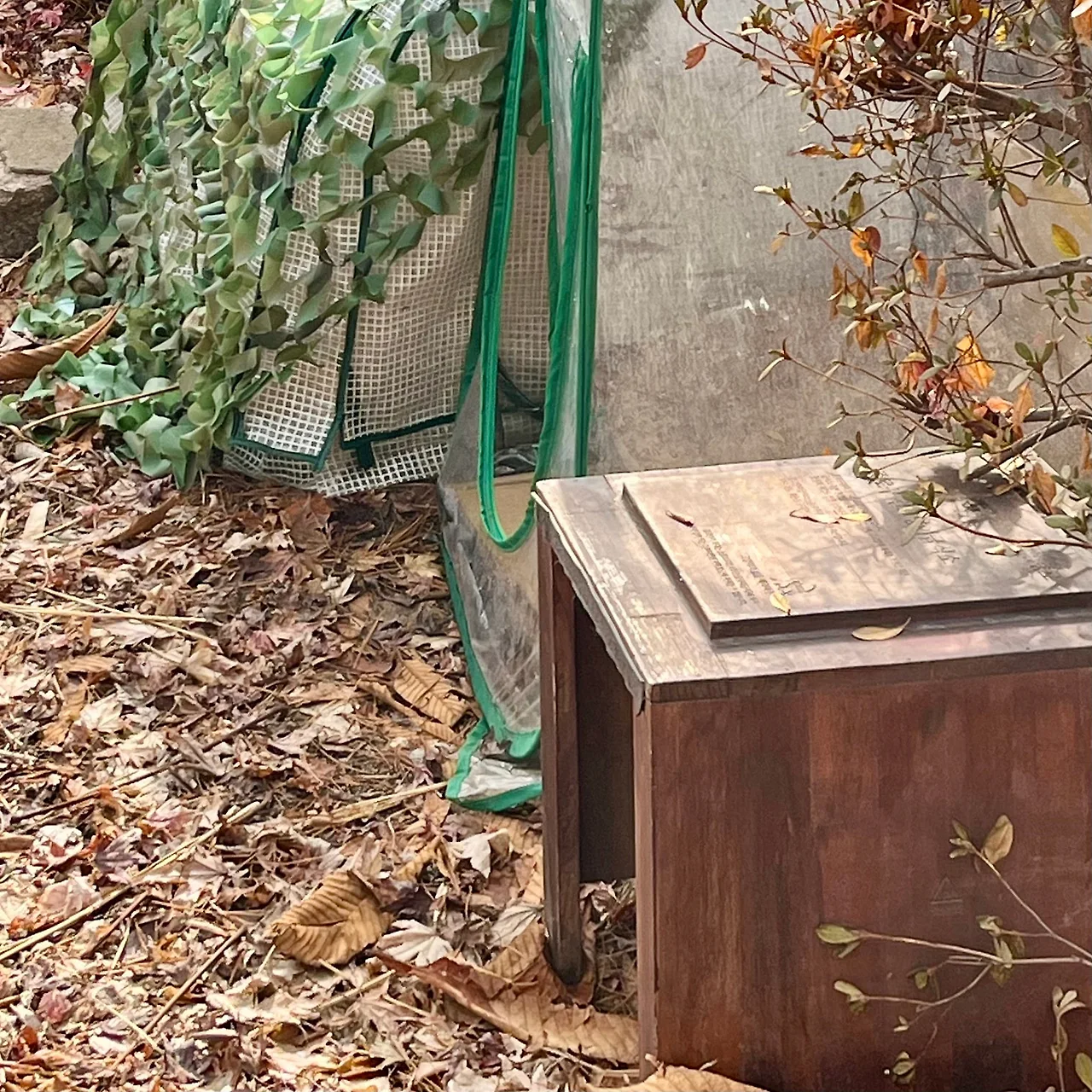 IMG%EF%BC%BF9907.jpg?type=w1600