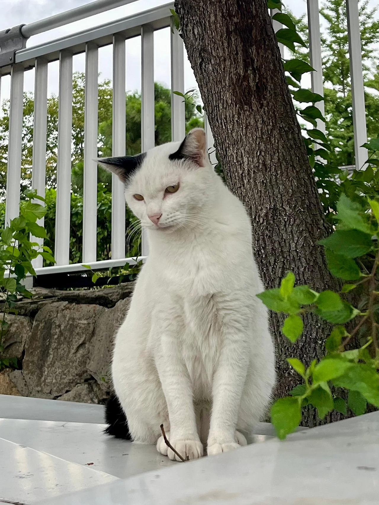 IMG%EF%BC%BF1786.jpg?type=w1600