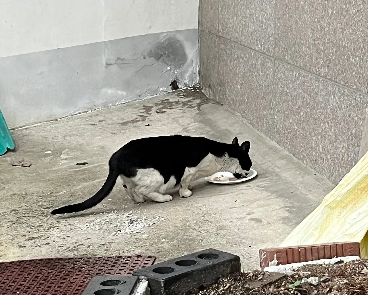 IMG%EF%BC%BF4309.jpg?type=w1600