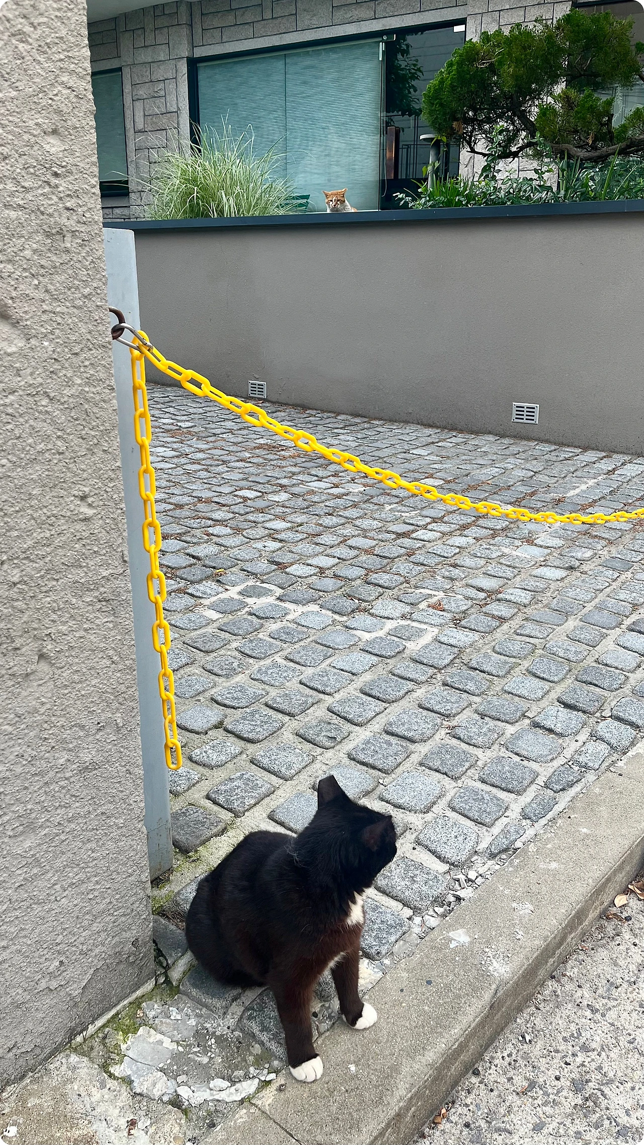 IMG_4568.jpg?type=w1600