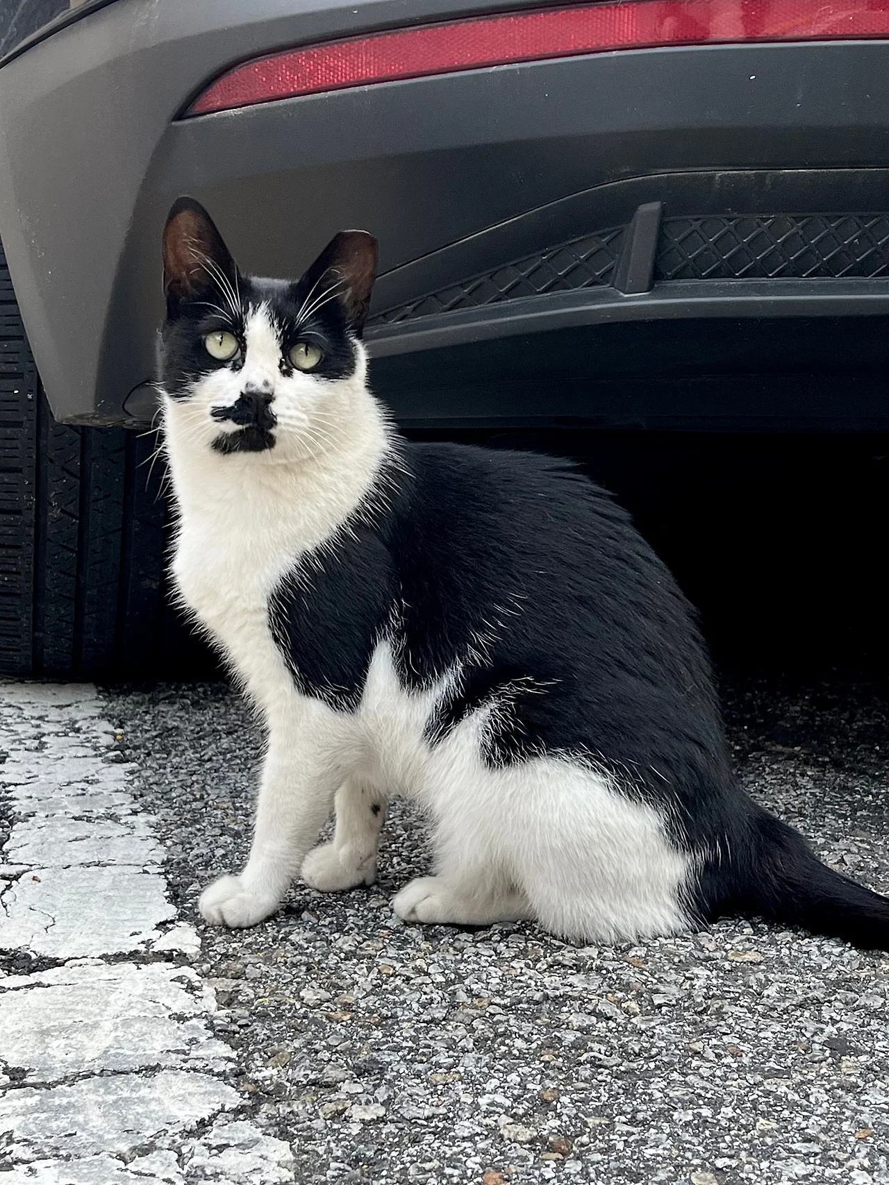 IMG%EF%BC%BF9966.jpg?type=w1600