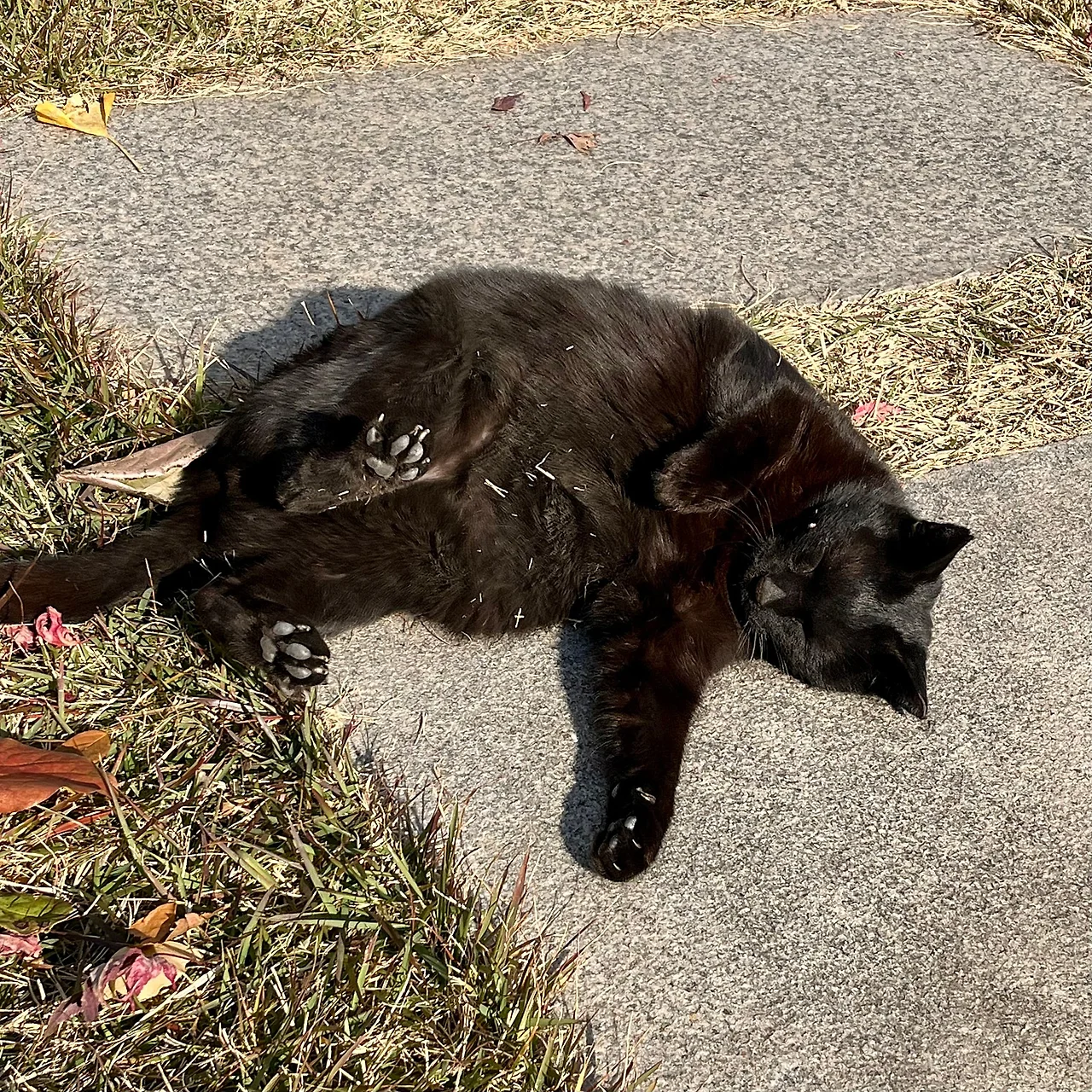 IMG%EF%BC%BF5712.jpg?type=w1600