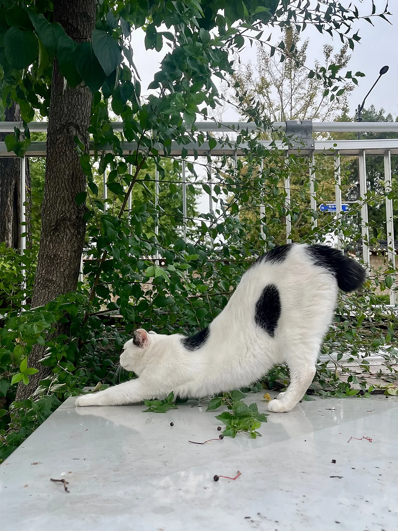 IMG%EF%BC%BF2791.jpg?type=w1600