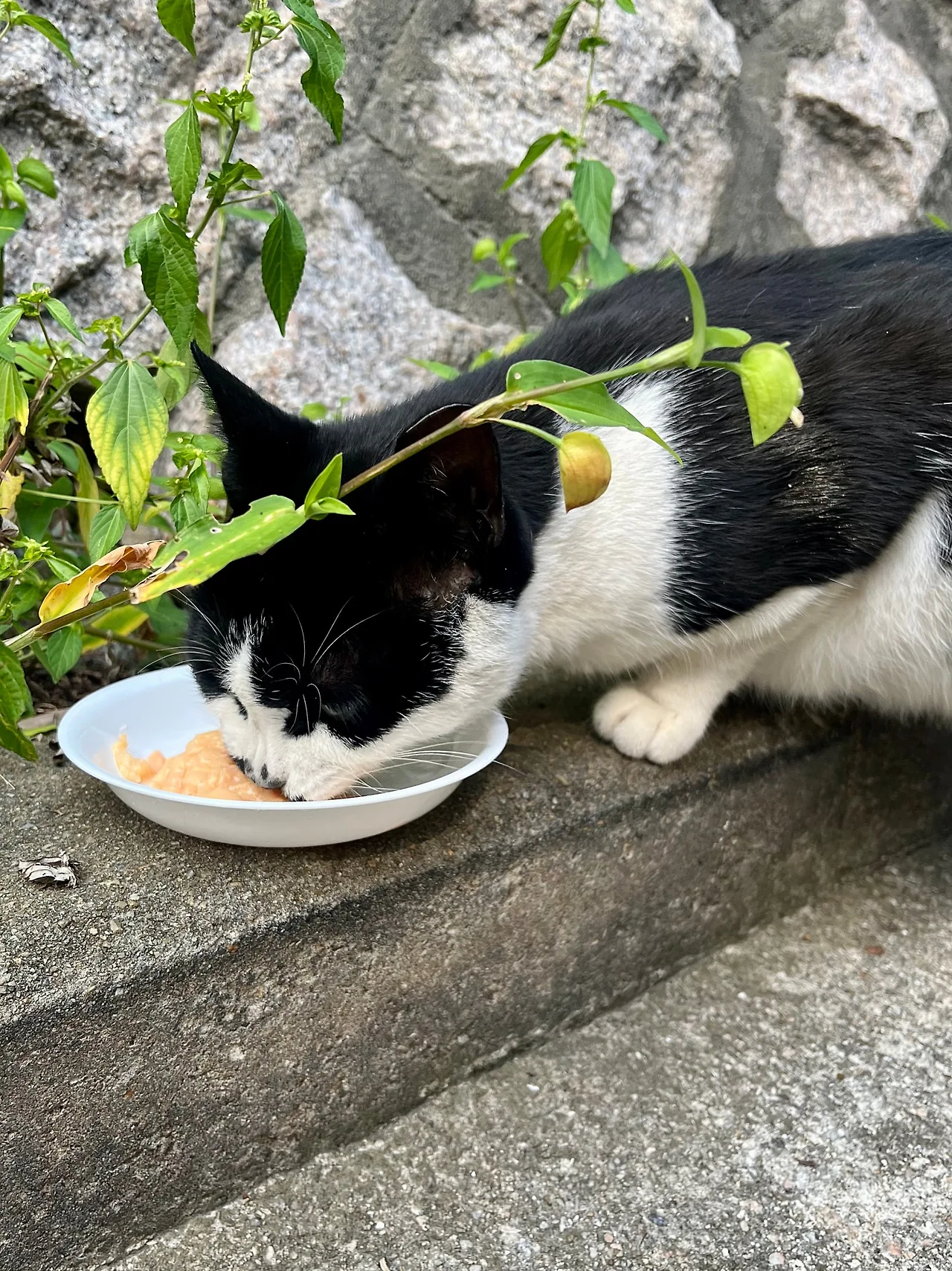 IMG%EF%BC%BF1546.jpg?type=w1600