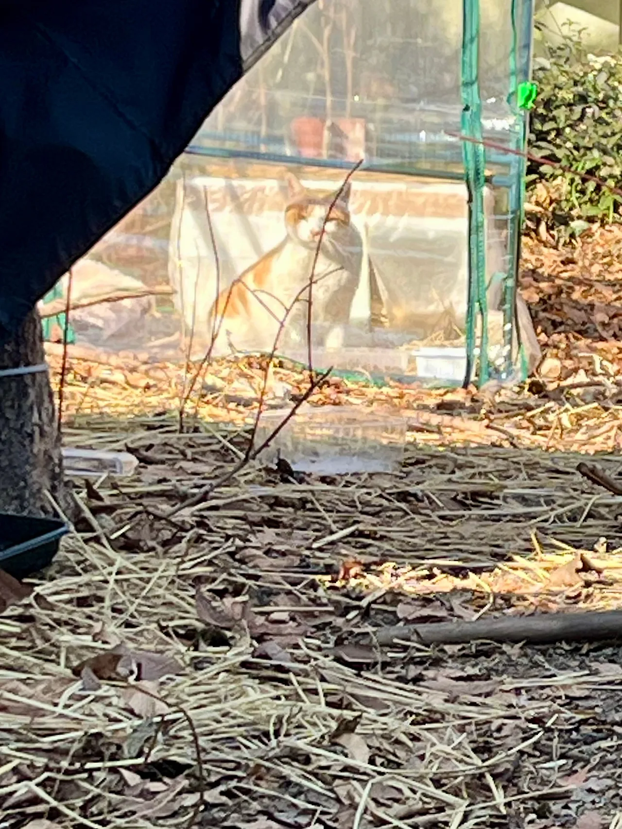 IMG%EF%BC%BF0781.jpg?type=w1600