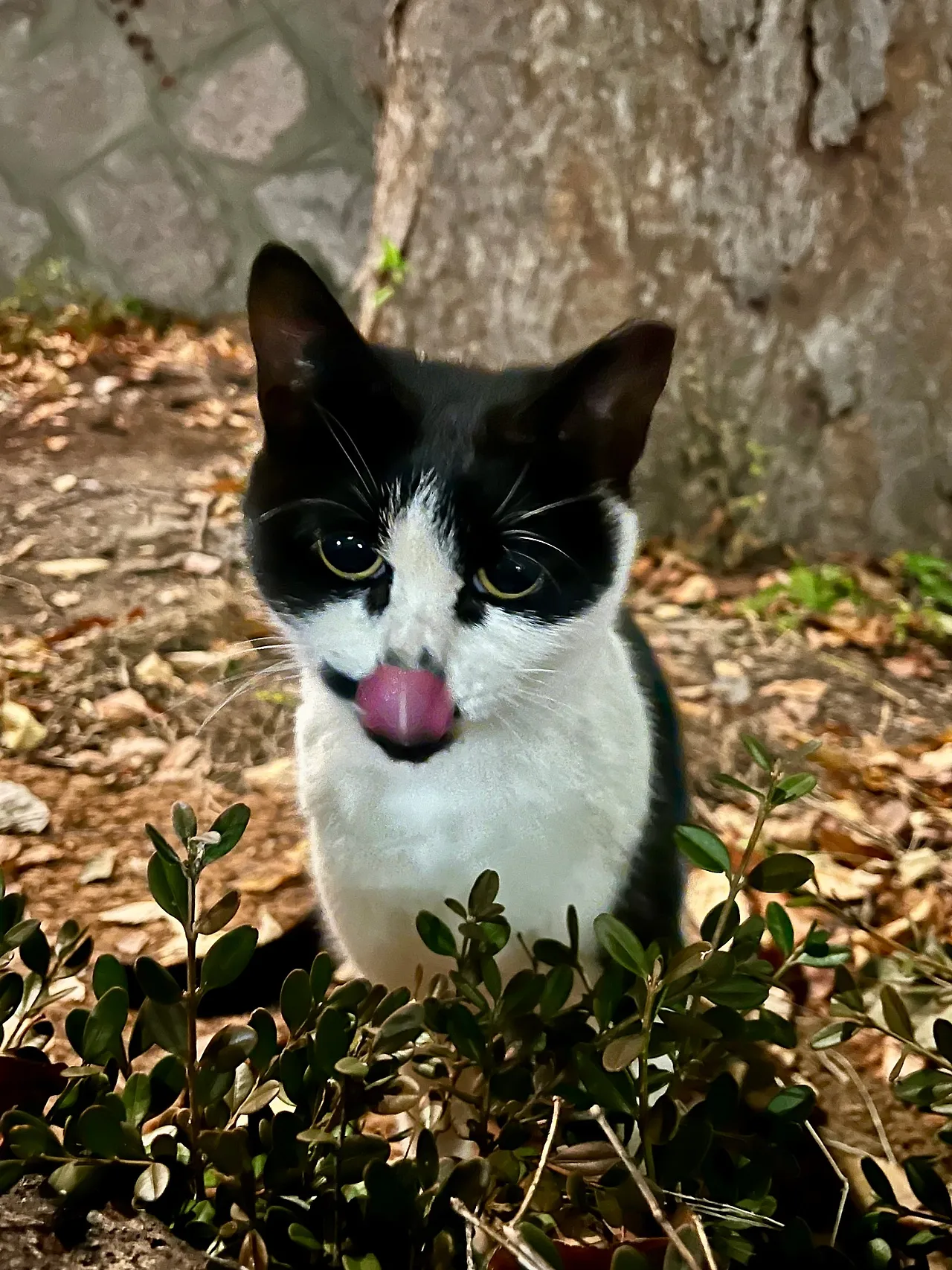 IMG%EF%BC%BF4588.jpg?type=w1600