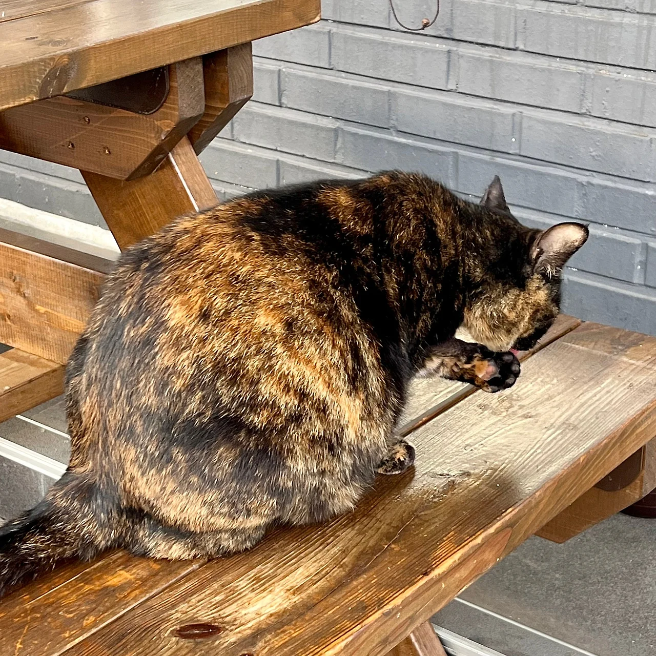 IMG%EF%BC%BF0594.jpg?type=w1600