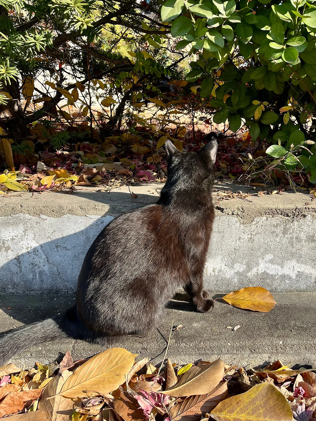 IMG%EF%BC%BF8648.jpg?type=w1600