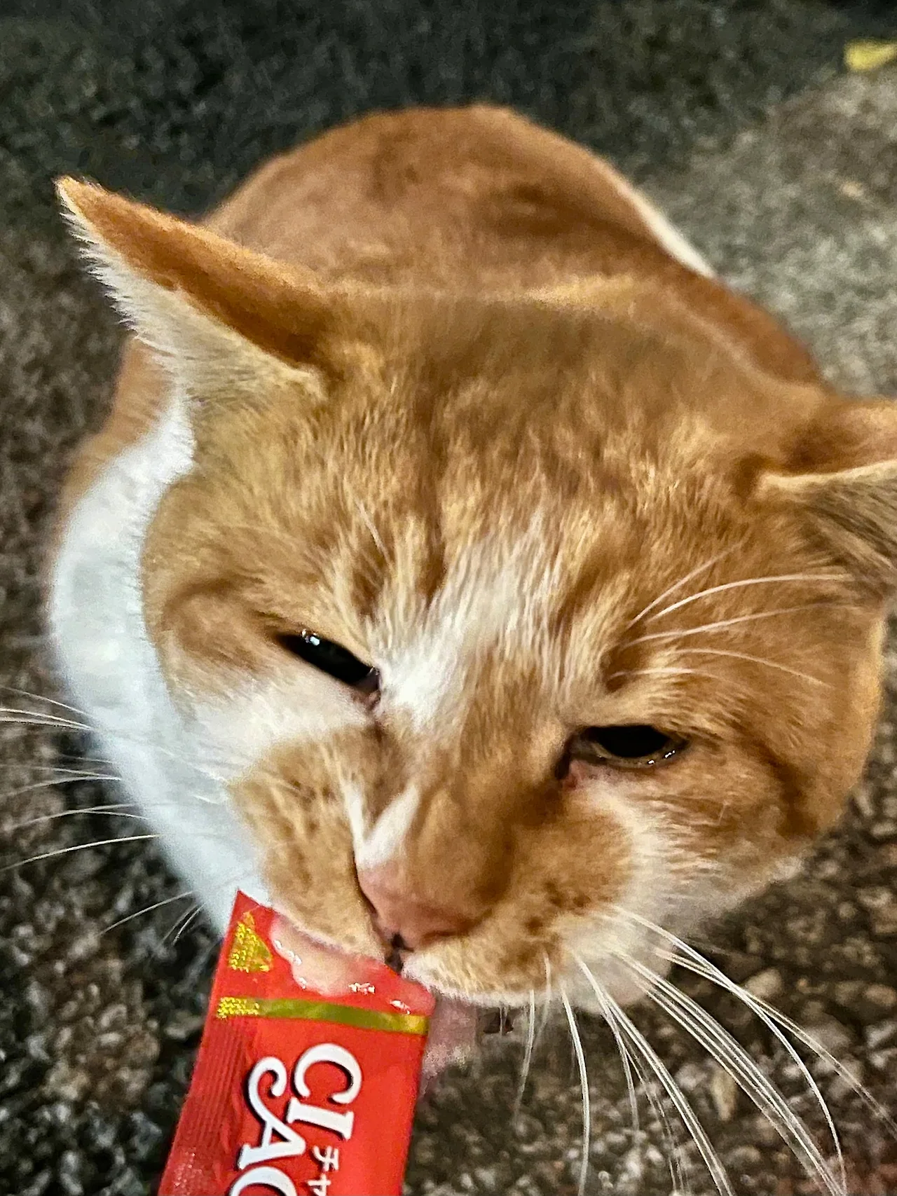 IMG%EF%BC%BF9058.jpg?type=w1600