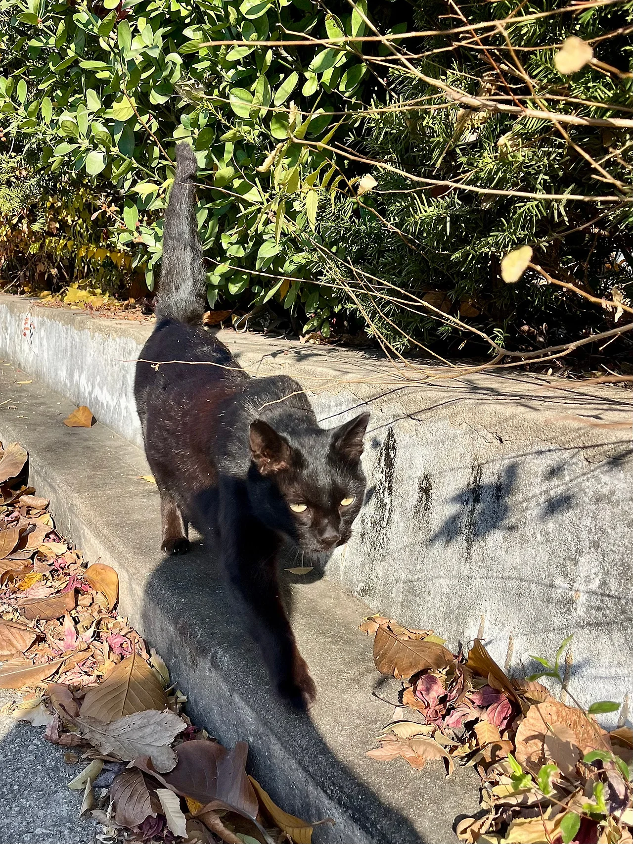 IMG%EF%BC%BF8654.jpg?type=w1600