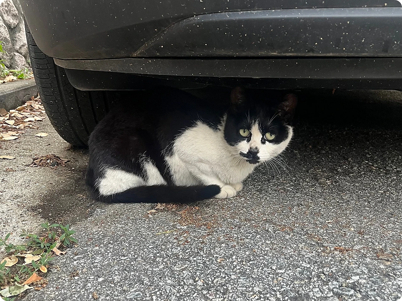 IMG_4478.jpg?type=w1600