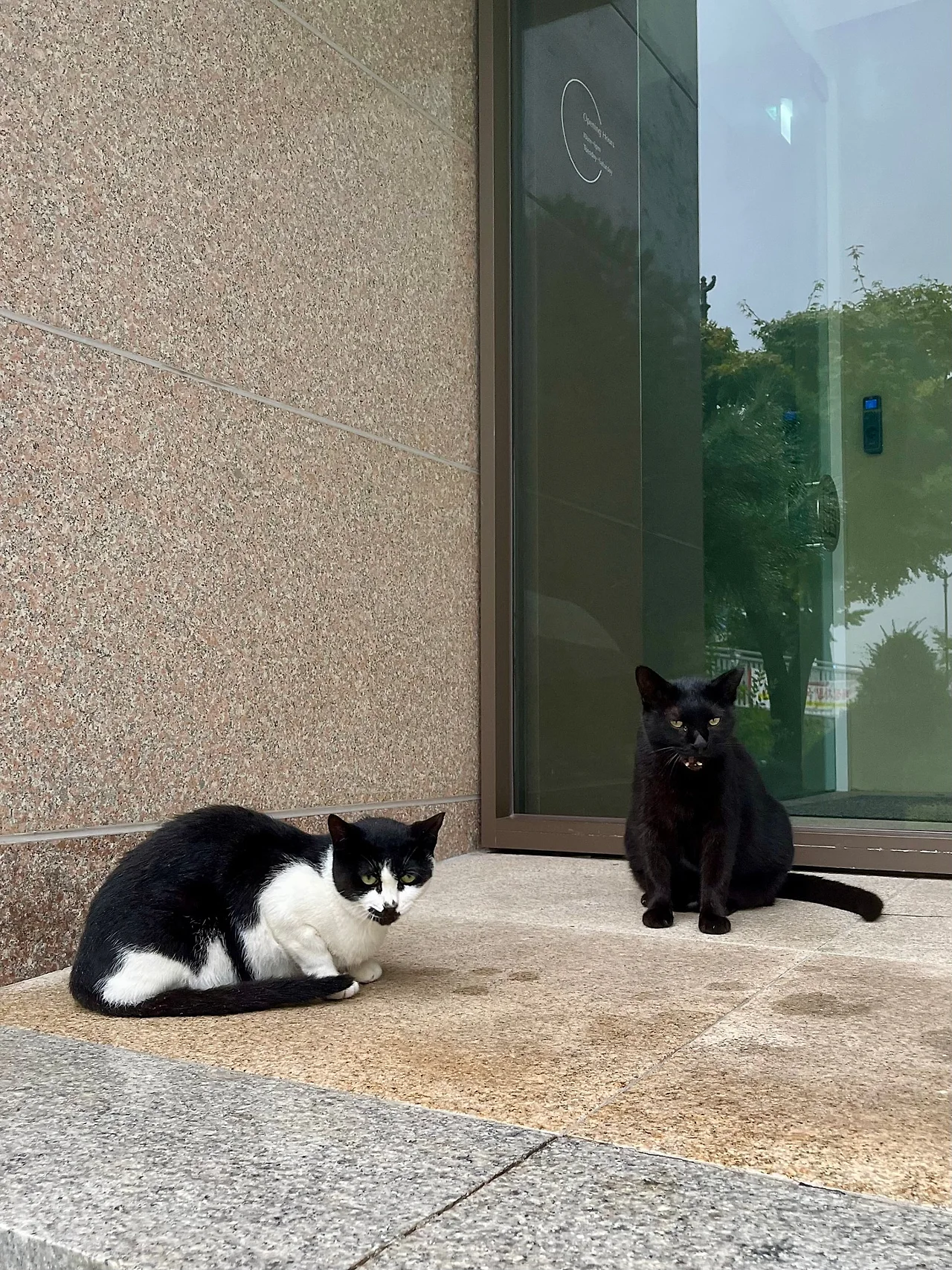 IMG%EF%BC%BF0835.jpg?type=w1600