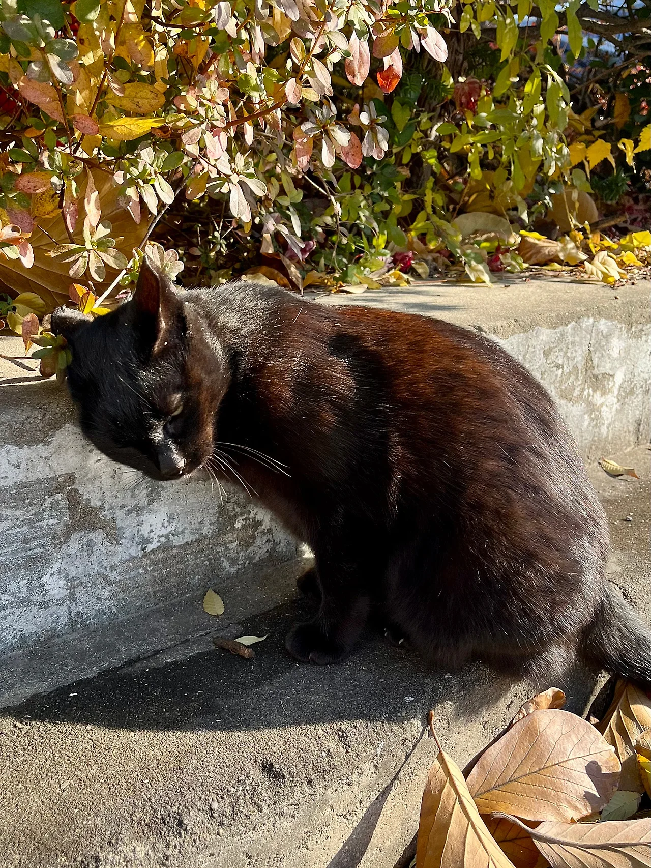 IMG%EF%BC%BF8629.jpg?type=w1600