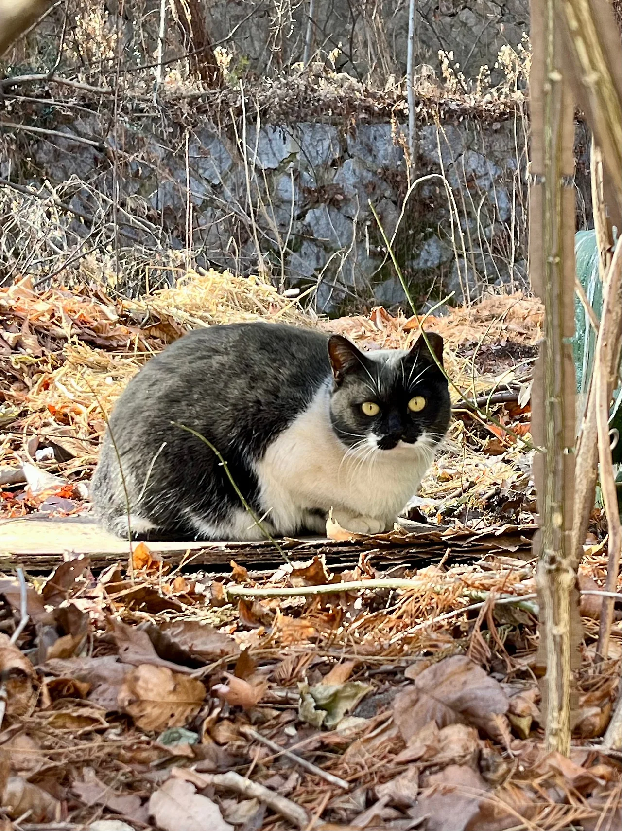 IMG%EF%BC%BF1013.jpg?type=w1600